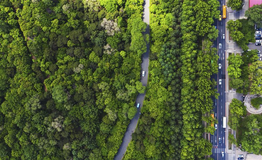 (環境)(3)長春:城市“綠妝”