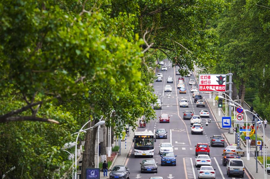 (環境)(4)長春:城市“綠妝”