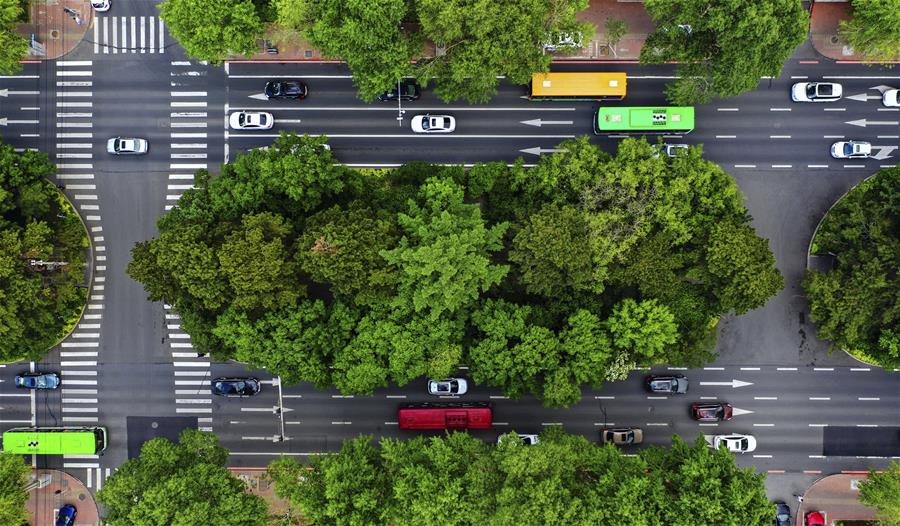 (環境)(6)長春:城市“綠妝”