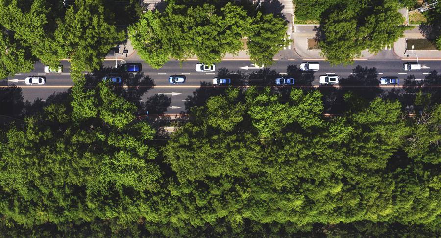 (環境)(5)長春:城市“綠妝”