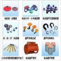 河北泊頭起重機配件