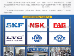 河南勇飛軸承有限公司已加入《起重匯采購指南》！
