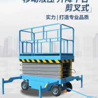 河北滄州起重機(jī)龍門吊專用檢修升降平臺(tái)