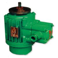 四川起升電機高品質