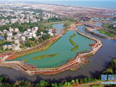 海口江東新區生態修復