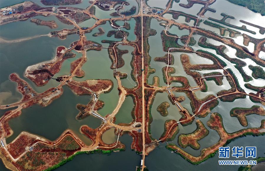 （環(huán)境）（3）海口江東新區(qū)生態(tài)修復