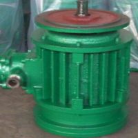 重慶防防爆運行電機(jī)