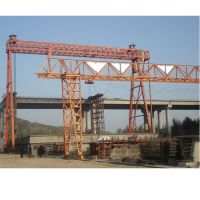 天津起重機(jī)-廠家直銷(xiāo)單梁起重機(jī)