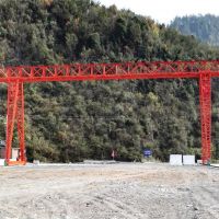 成都龍新都區(qū)起重機銷售