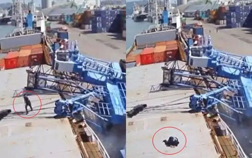 微信圖片_2025-08-22_152654_481